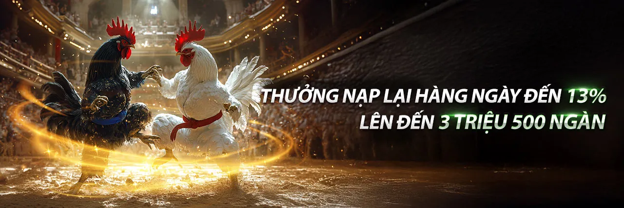 Sân chơi đá gà trực tuyến Vicclub 2026
